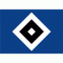12.Platz: Hamburger SV