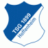 05.Platz: TSG Hoffenheim